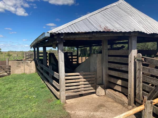 1543 hectáreas. Ganadero en Artigas Uruguay